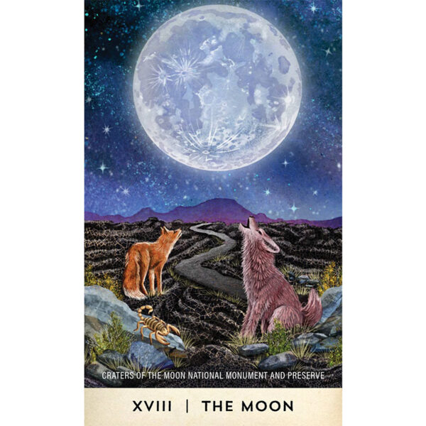 Tarot for the Great Outdoors 5