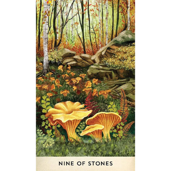 Tarot for the Great Outdoors 8