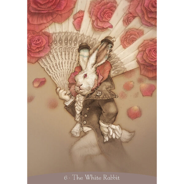 Alice in Wonderland Oracle 2