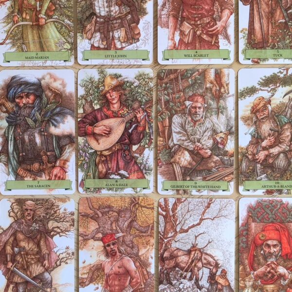 Sherwood Oracle 11