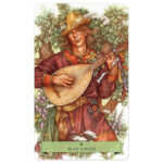 Sherwood Oracle 6
