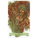 Sherwood Oracle 7