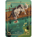 Storyteller’s Tarot 10