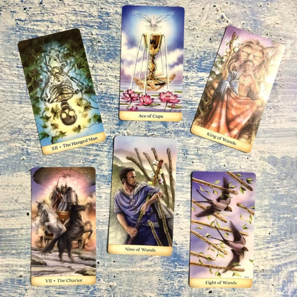 Calandra Tarot 11