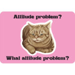 Cattitude Cards 4
