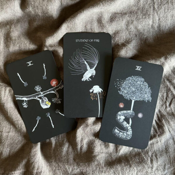 Sacred Web Tarot 5