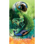 Transformation Oracle 5