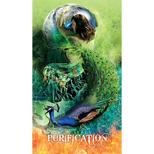 Transformation Oracle 5