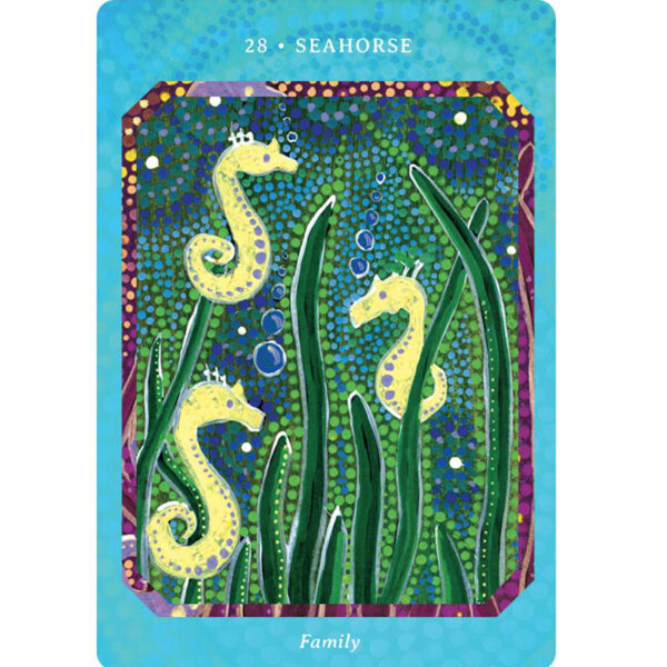 Saltwater Reading Cards 4