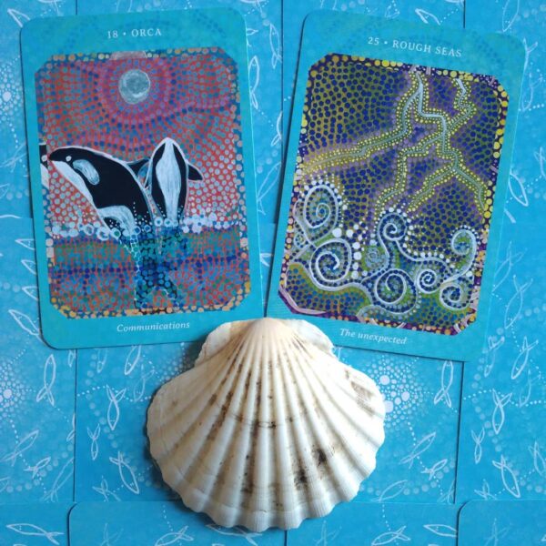 Saltwater Reading Cards 7