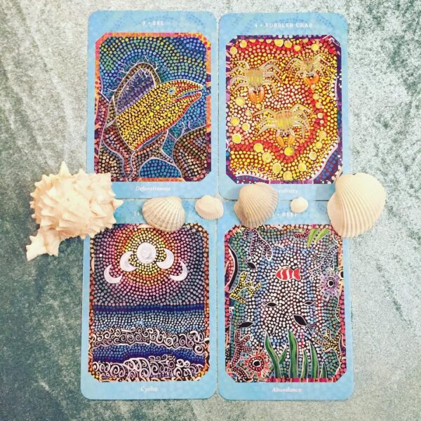 Saltwater Reading Cards 8