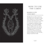 Oriens Animal Tarot – Pocket Edition 10