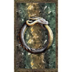 World Dragon Oracle 6