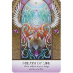 Light Code Apothecary Oracle 8