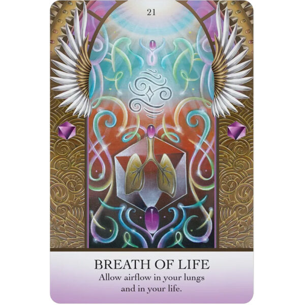 Light Code Apothecary Oracle 8