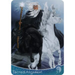 Eternal Seeker Oracle 13