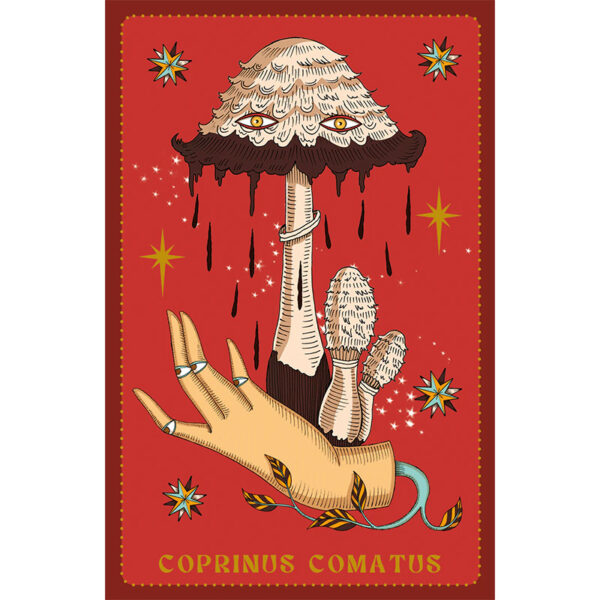 Herbarium Oracle Cards 2