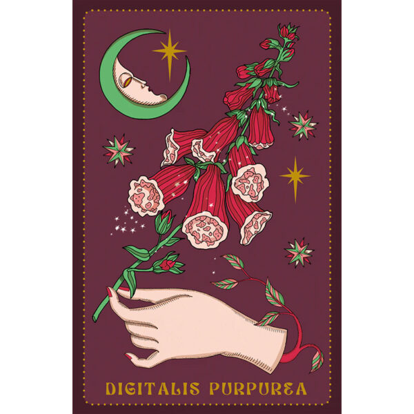 Herbarium Oracle Cards 3