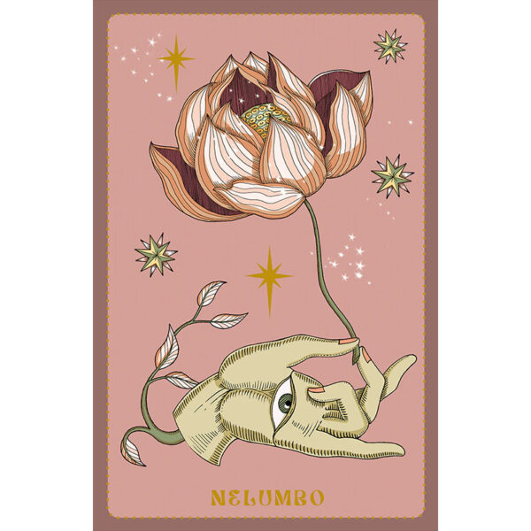 Herbarium Oracle Cards 4