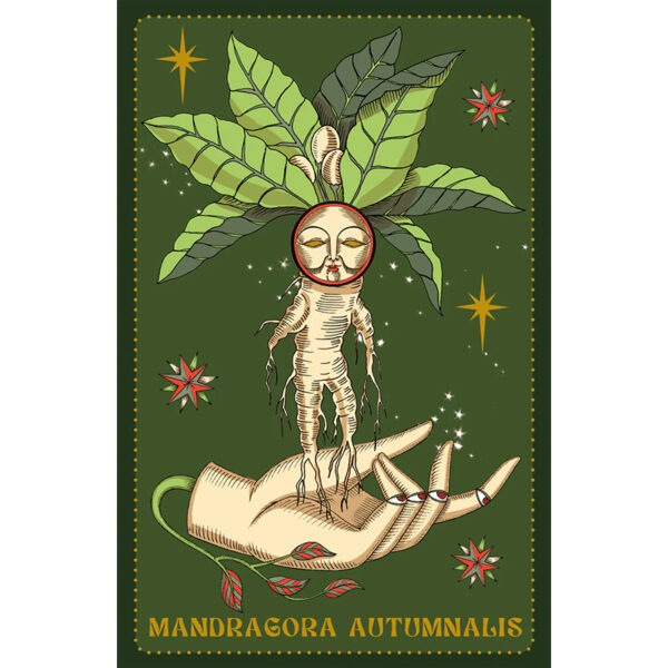 Herbarium Oracle Cards 6