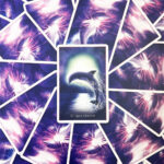 Whispers of the Dolphin Heart 10
