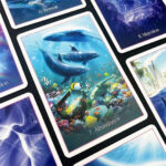 Whispers of the Dolphin Heart 12