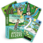 Animal Elders Oracle 11