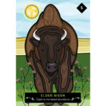 Animal Elders Oracle 6