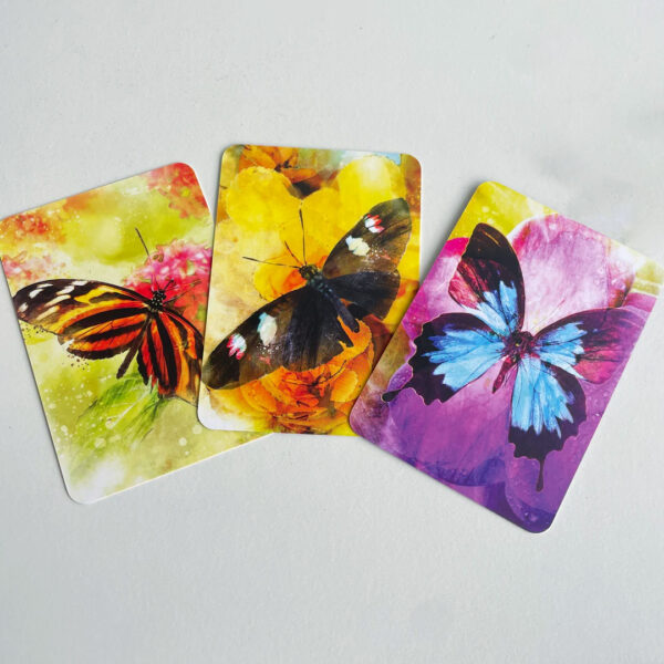 Butterfly Transformations Cards 10