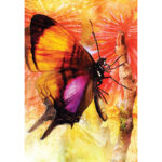 Butterfly Transformations Cards 4