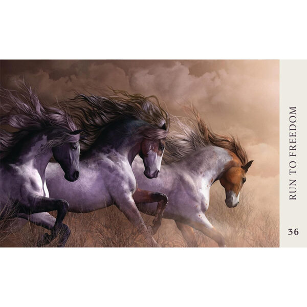 Horse Wisdom Oracle 3