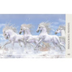 Horse Wisdom Oracle 6