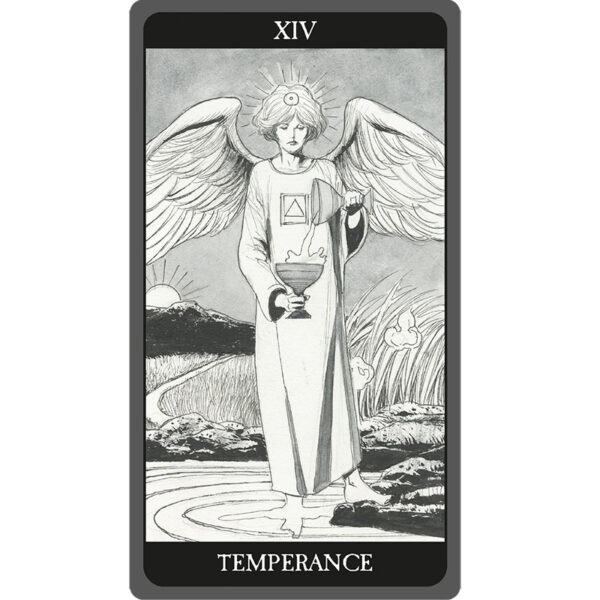 Dark Side of Tarot Deck 5