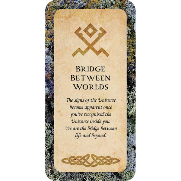 Druid Wisdom Cards 5