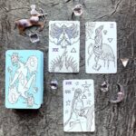 Medieval Mischief Tarot 14