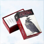 Murder of Crows Tarot – Mini Edition 11
