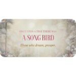 Once Upon a Time Cards 13