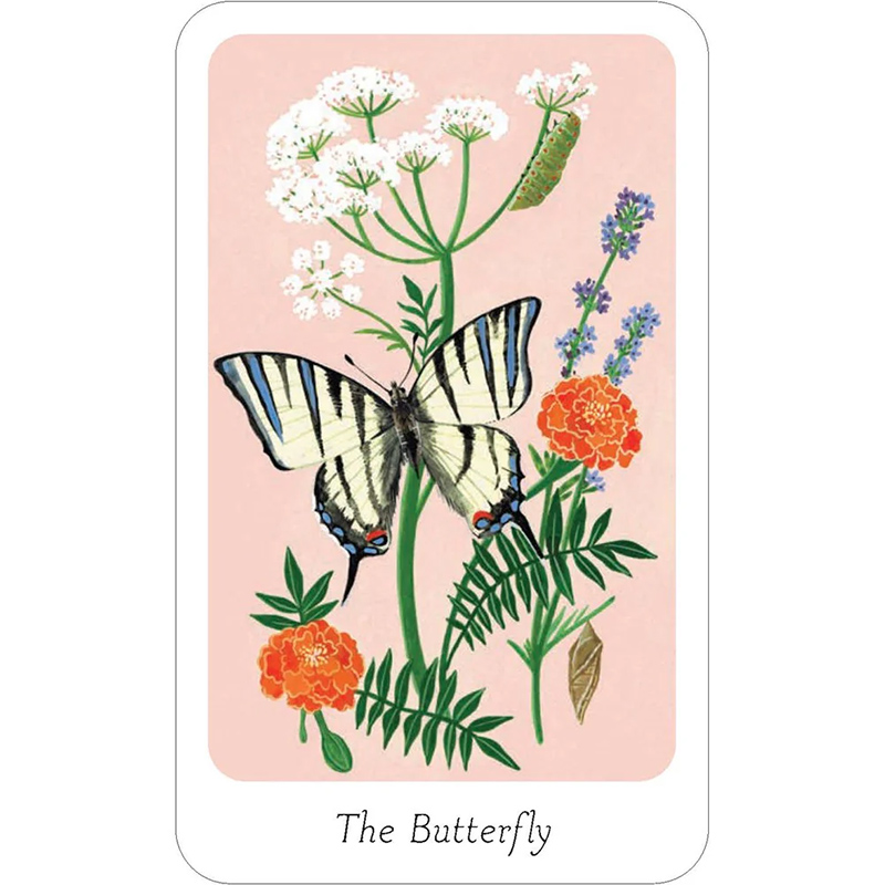 Little Bug Oracle Bộ Bài Little Witch Oracle - Khám Phá Điều Kỳ Diệu và Nâng Tầm Trí Tuệ ...