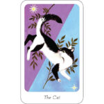 Little Witch Oracle 4