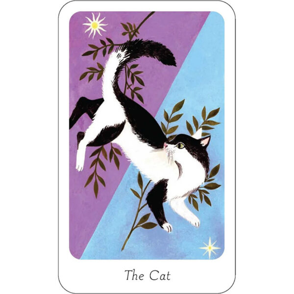 Little Witch Oracle 4