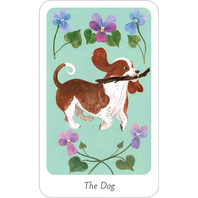 Little Bug Oracle Bộ Bài Little Witch Oracle - Khám Phá Điều Kỳ Diệu và Nâng Tầm Trí Tuệ ...