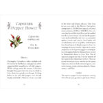 Flowerwise Oracle 6