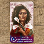 Flowerwise Oracle 8