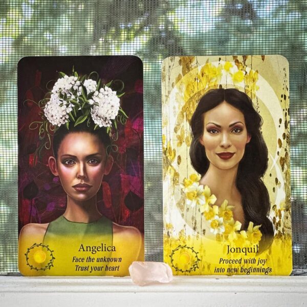 Flowerwise Oracle 9