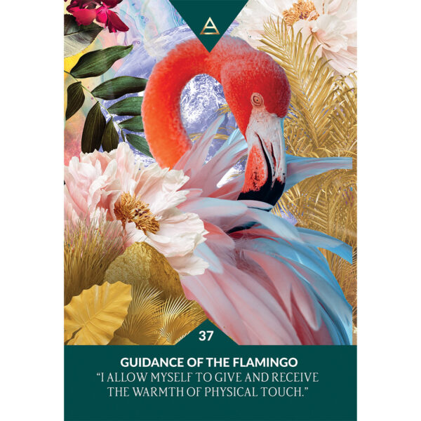 Guidance from Gaia Oracle 10