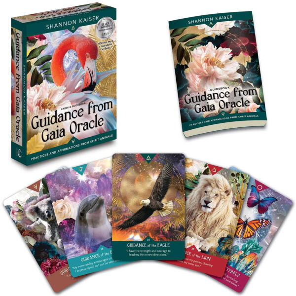 Guidance from Gaia Oracle 3
