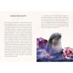 Guidance from Gaia Oracle 4