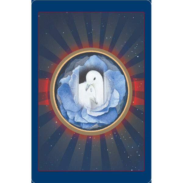 Animal Love Oracle Cards 10