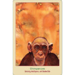 Animal Love Oracle Cards 2