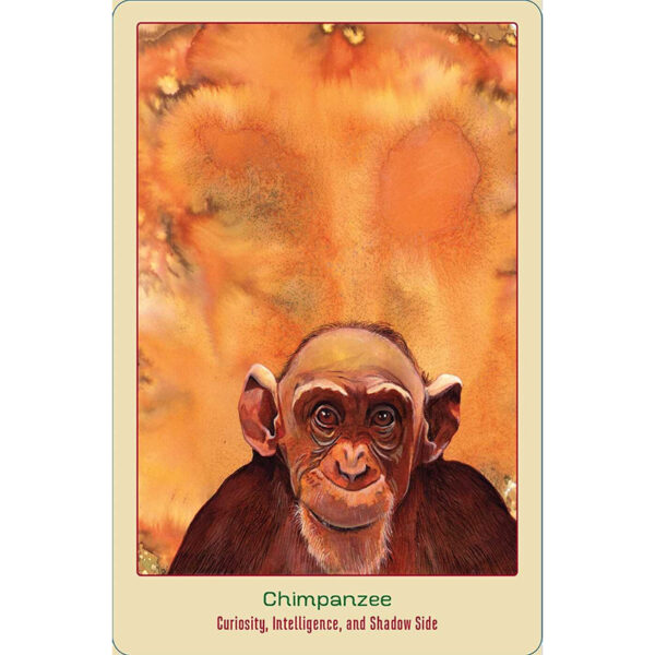 Animal Love Oracle Cards 2